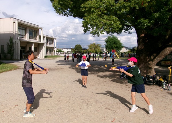 image382