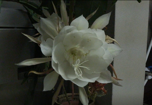 image60